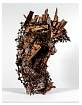 585_entropy2.jpg